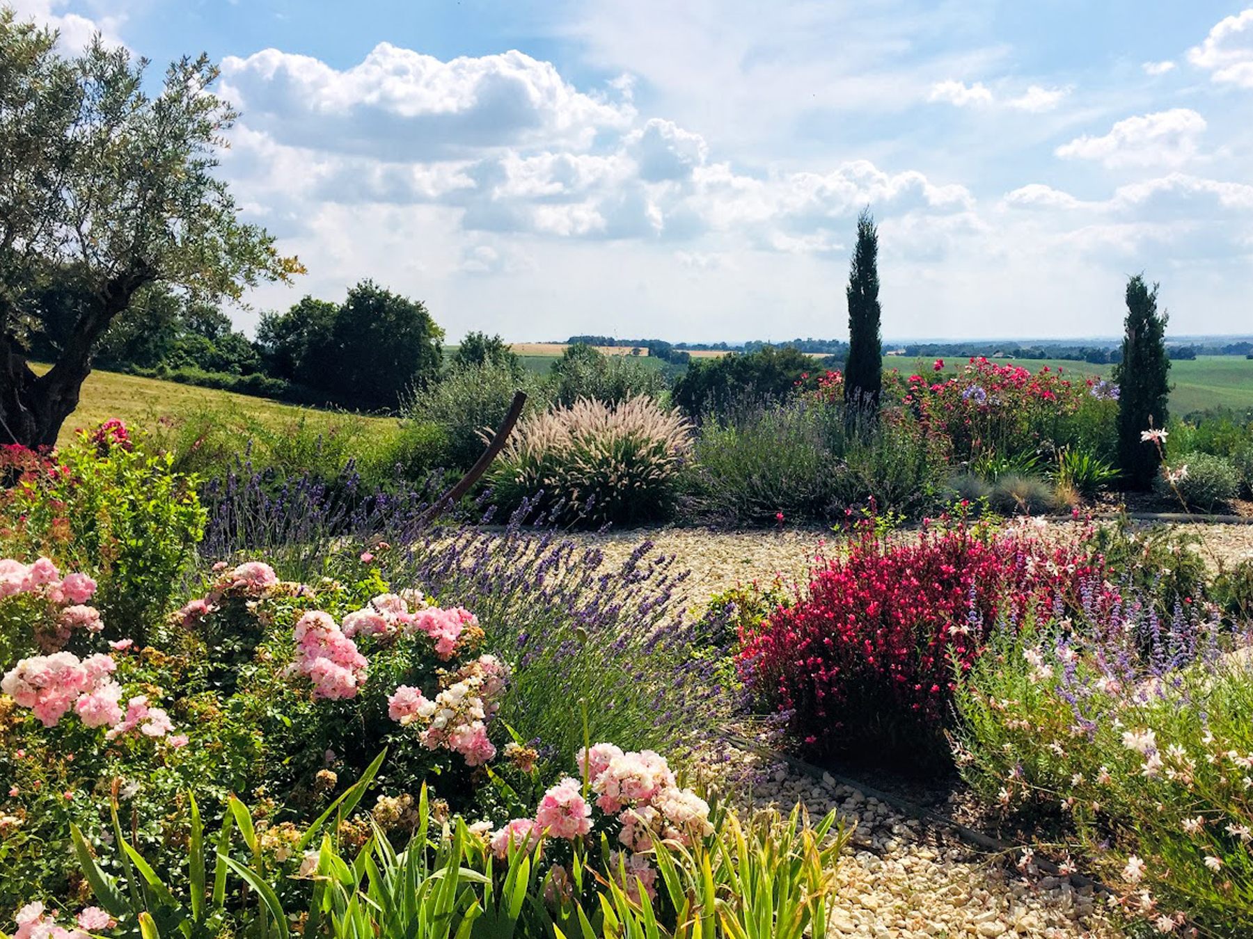 A Mediterranean-inspired garden