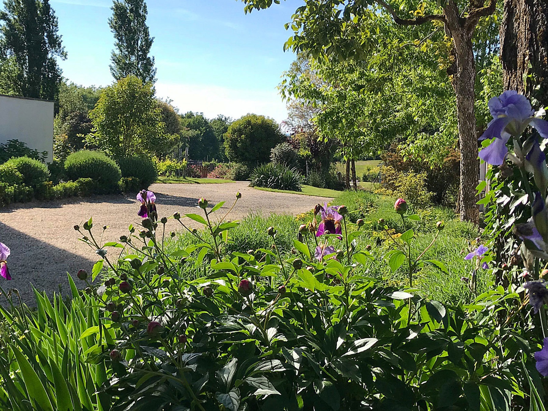 A charming country-house garden
